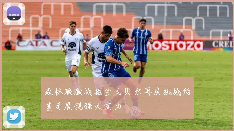 森林狼激战掘金戈贝尔再度挑战约基奇展现强大实力