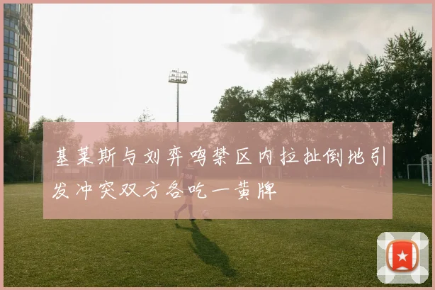 基莱斯与刘弈鸣禁区内拉扯倒地引发冲突双方各吃一黄牌